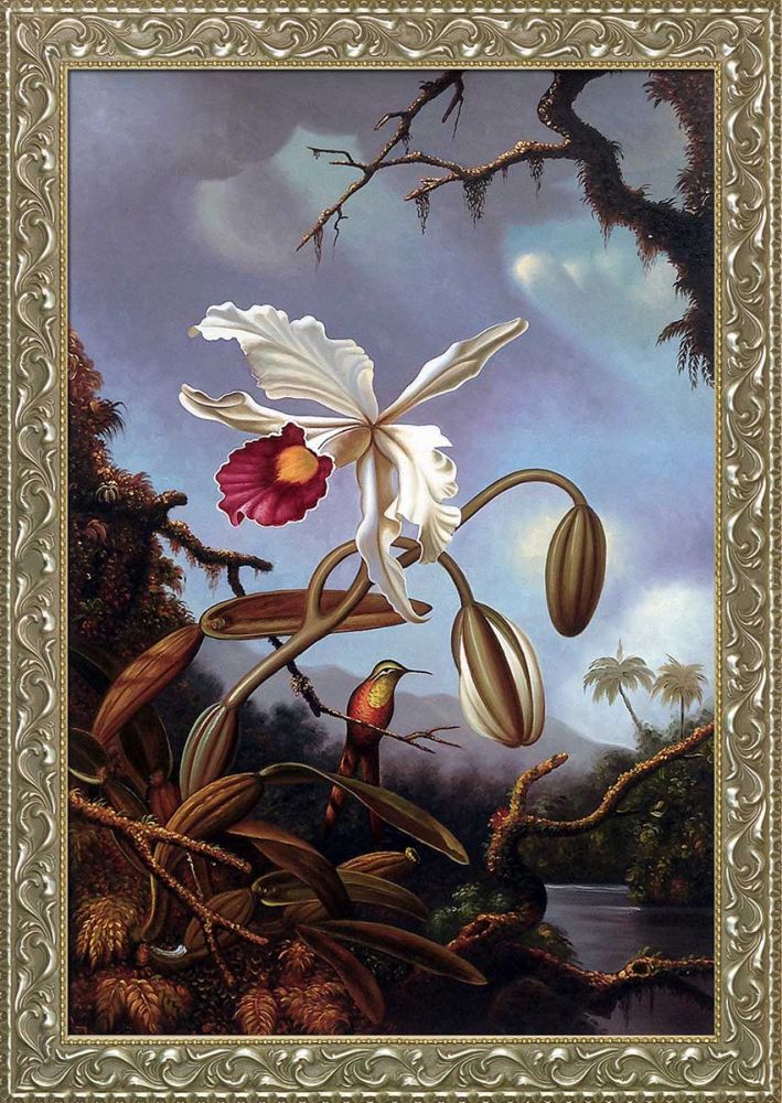 White Brazilian Orchid, 1875-1890 Pre-Framed - Rococo Silver 24"X36"