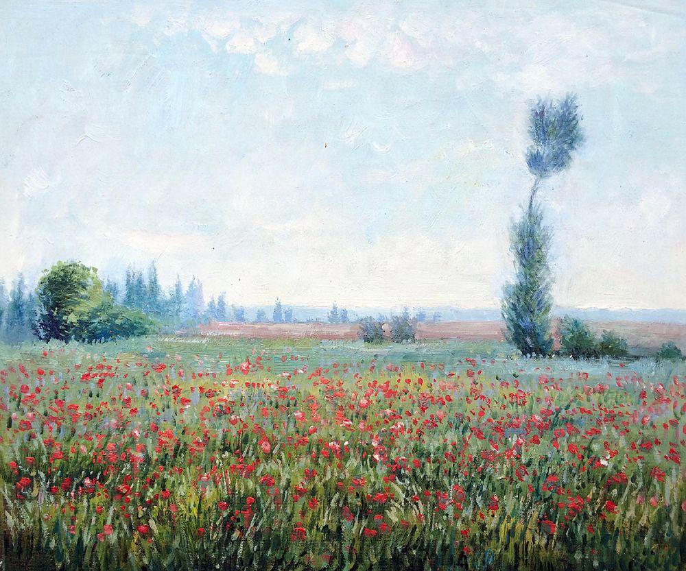 The Fields of Poppies