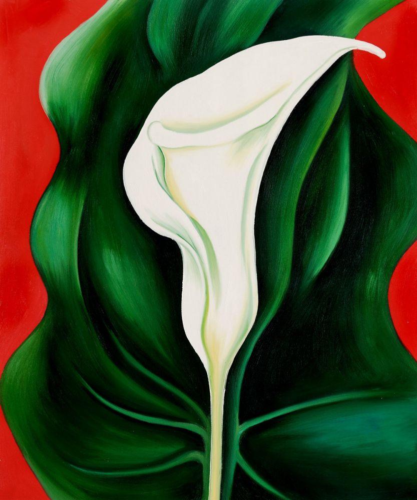 Single Calla Lily (Red), 1923