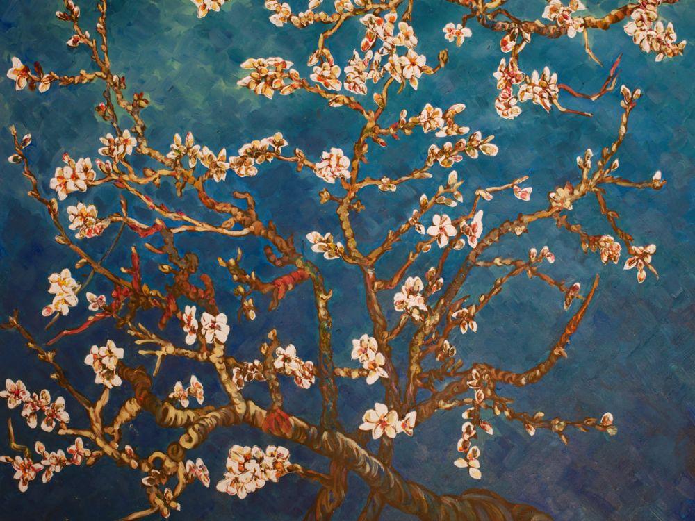 Branches Of An Almond Tree In Blossom