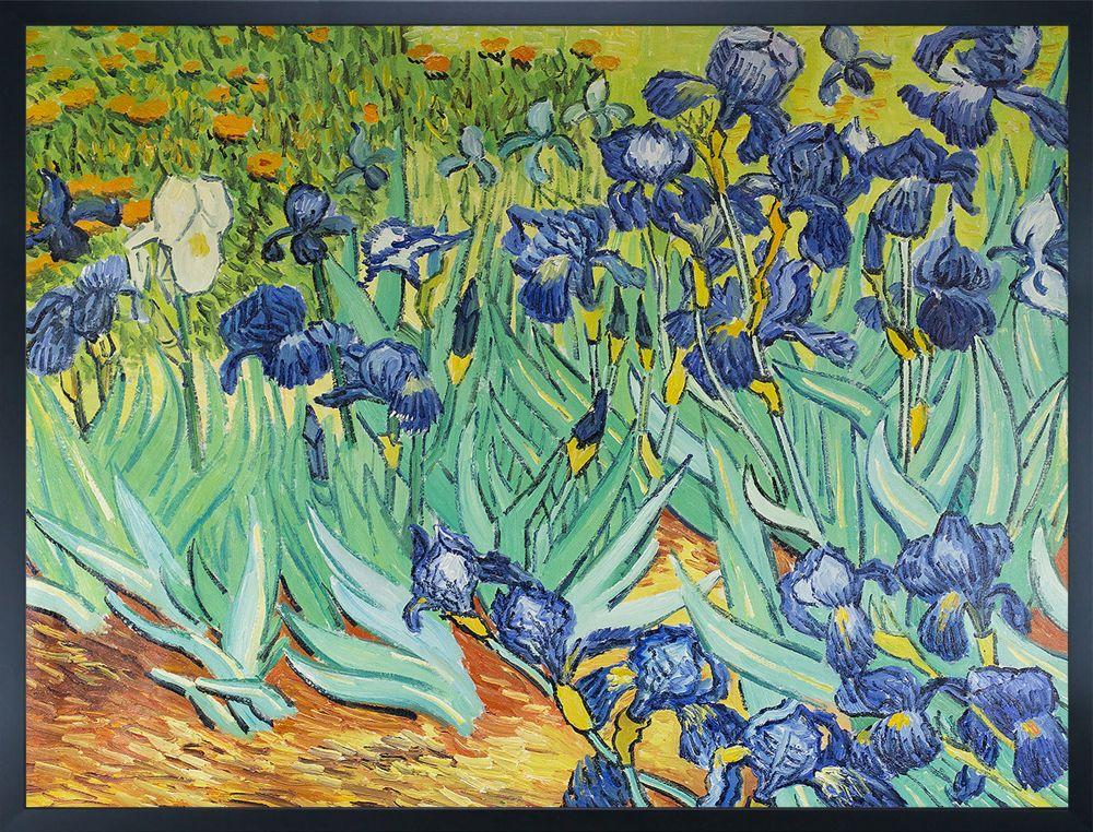 Irises Pre-framed - Studio Black Wood Frame 30"X40"