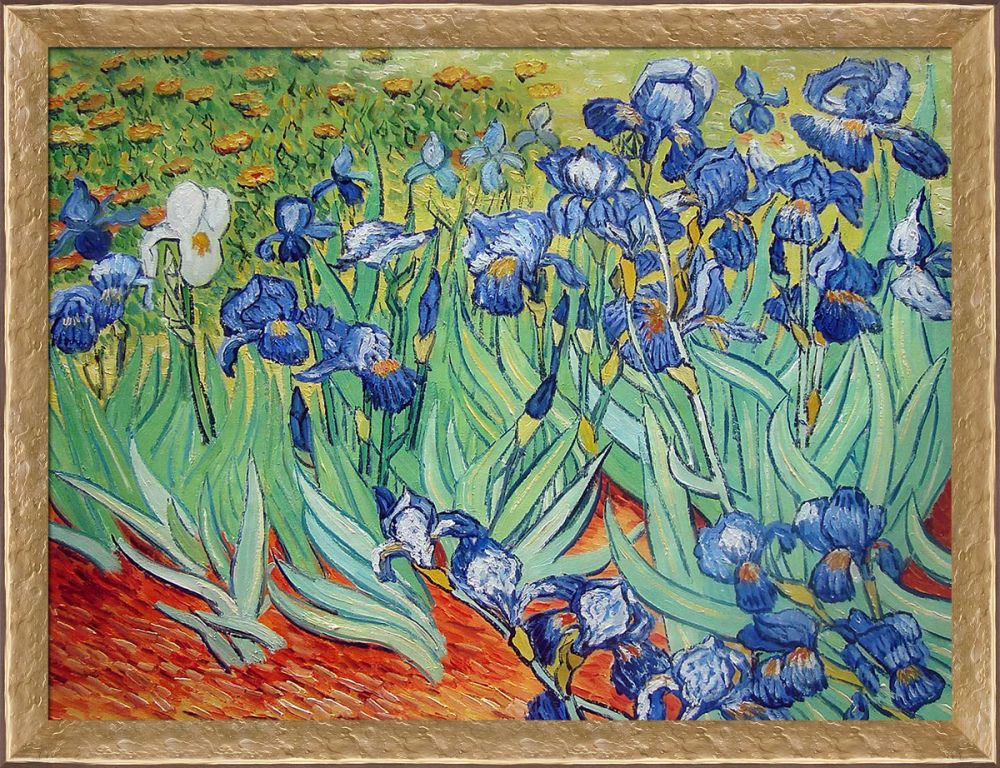 Irises Pre-Framed - Gold Luna Frame 30"X40"