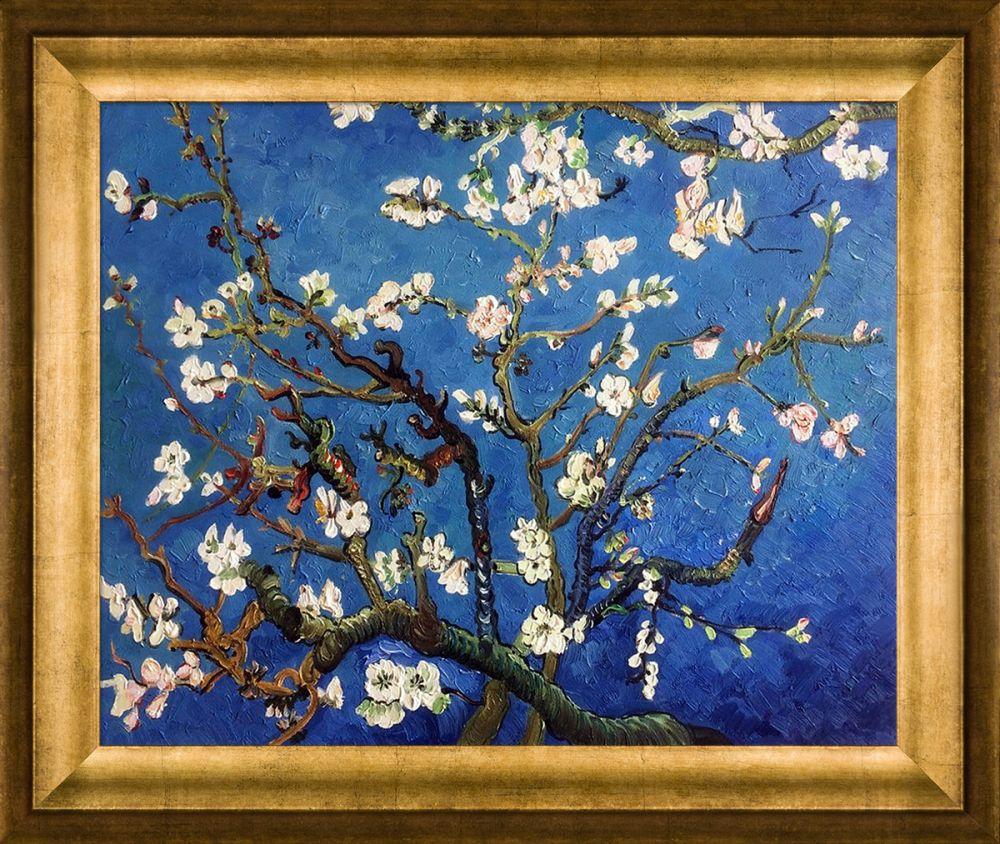 Branches Of An Almond Tree In Blossom Pre-Framed - Athenian Gold Frame 16"X20"