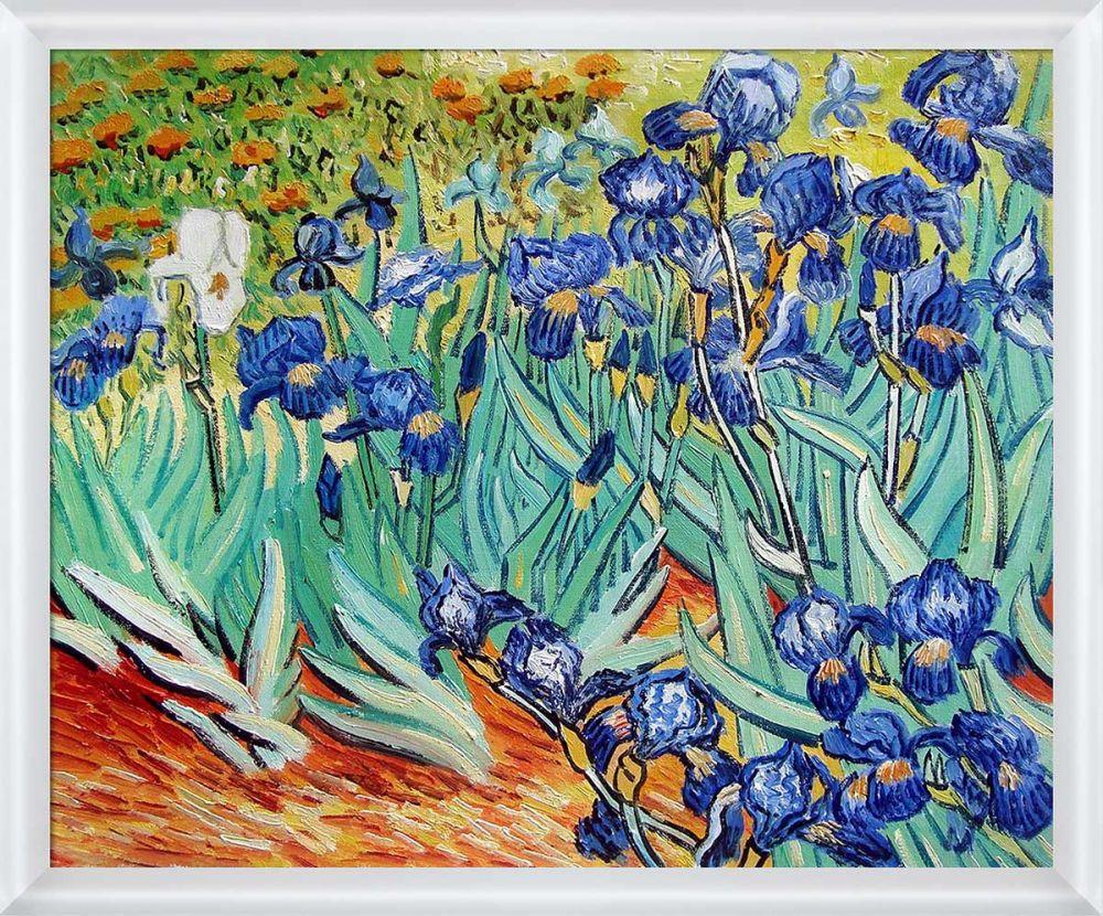 Irises Pre-Framed - Moderne Blanc Frame 20" X 24"