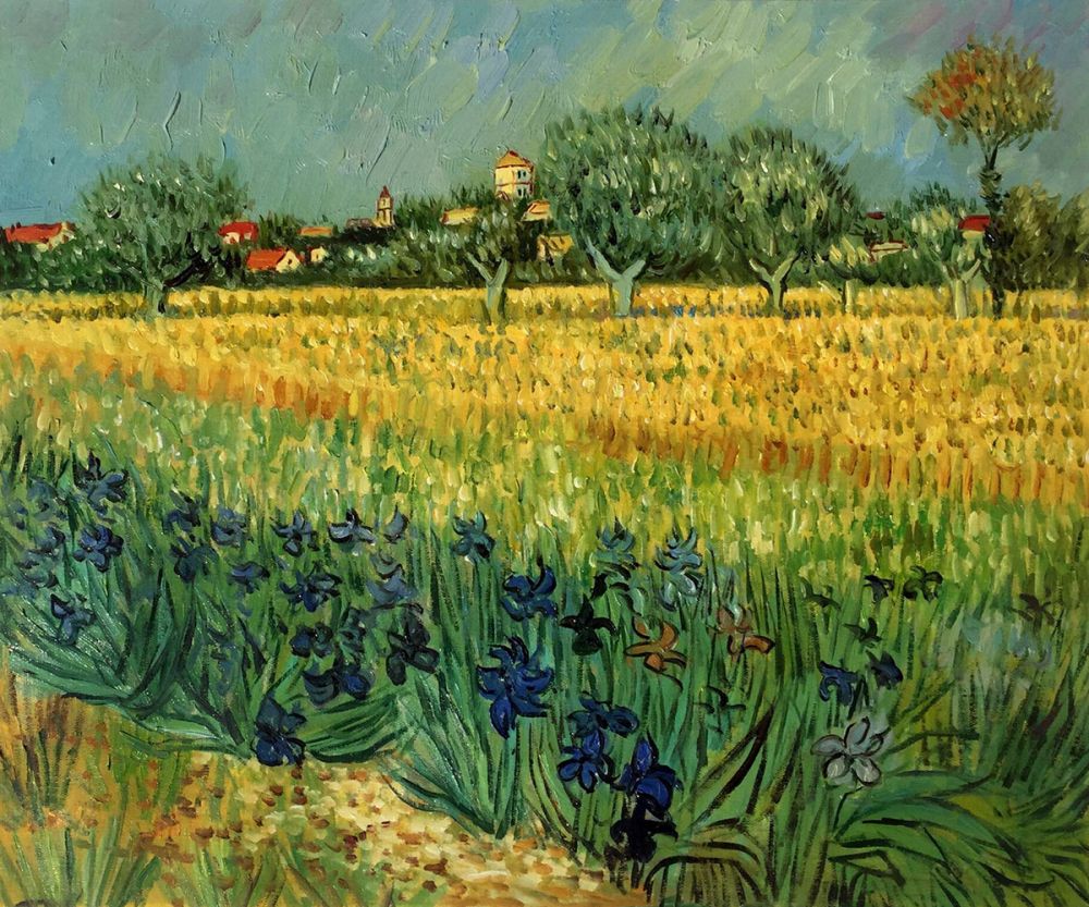 View of Arles with Irises