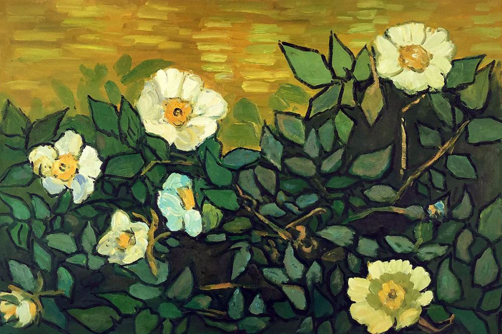 Wild Roses