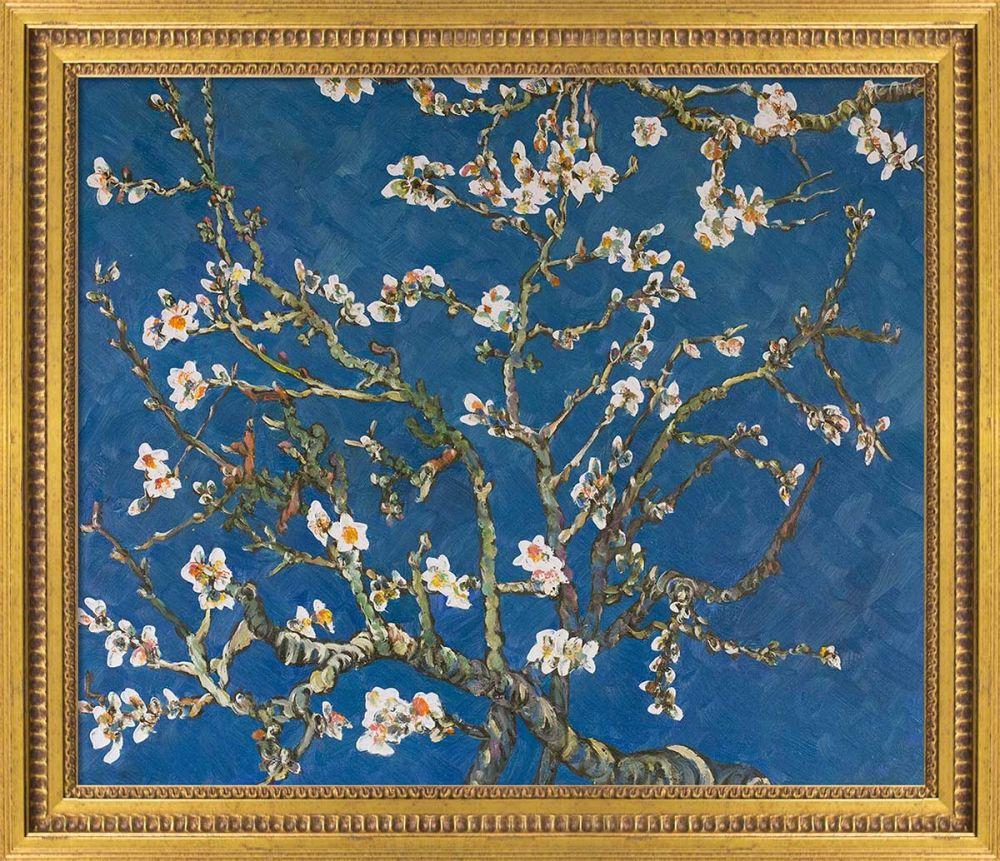 Branches of an Almond Tree in Blossom Pre-Framed - Versailles Gold Queen Frame 20" X 24"