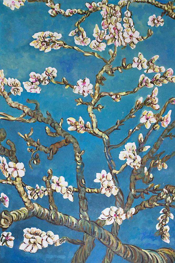 Branches of an Almond Tree in Blossom