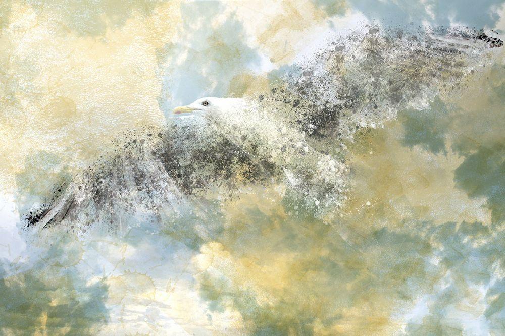 Digital Art, Vanishing Seagull