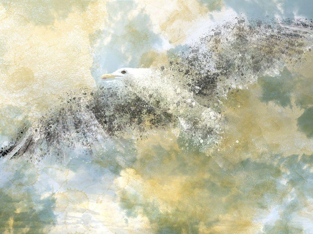 Digital Art, Vanishing Seagull