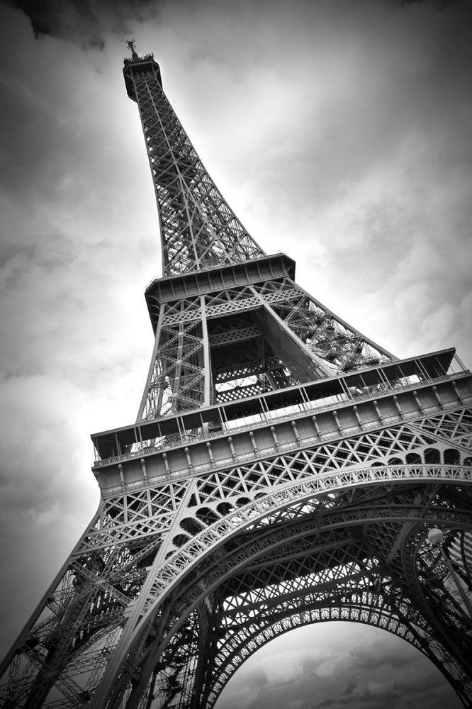 Paris Eiffel Tower Dynamic
