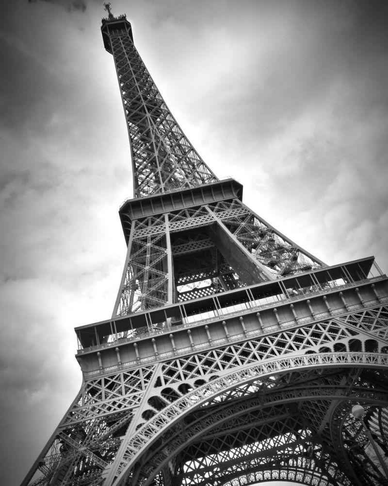 Paris Eiffel Tower Dynamic