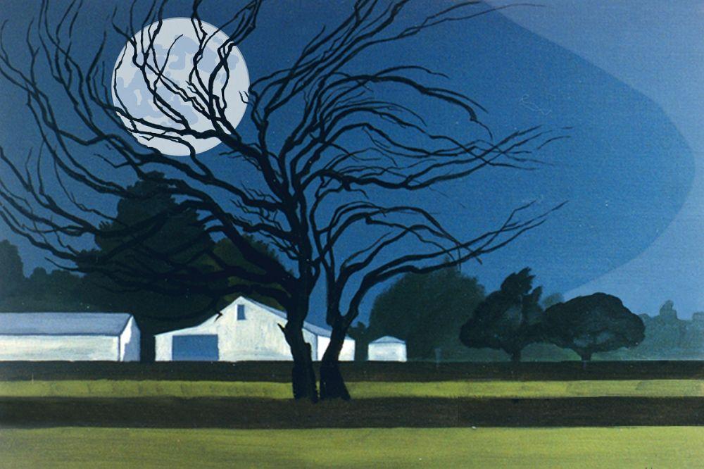 The Farm By Moonlight