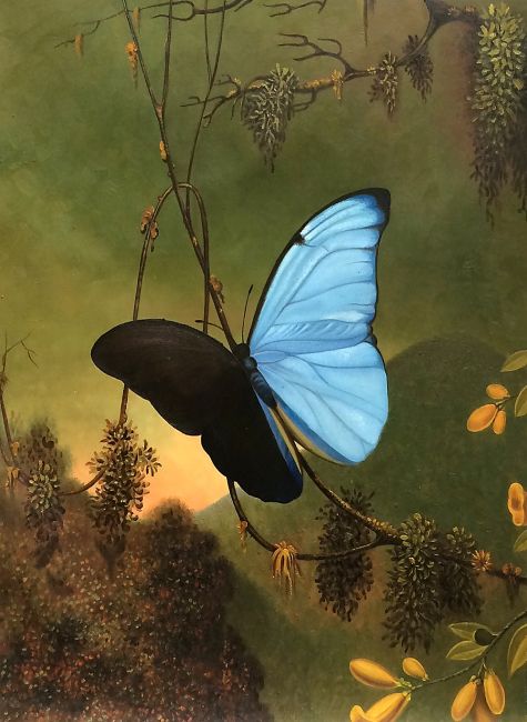 Blue Morpho Butterfly - MJ Heade - Oil Art Reproduction