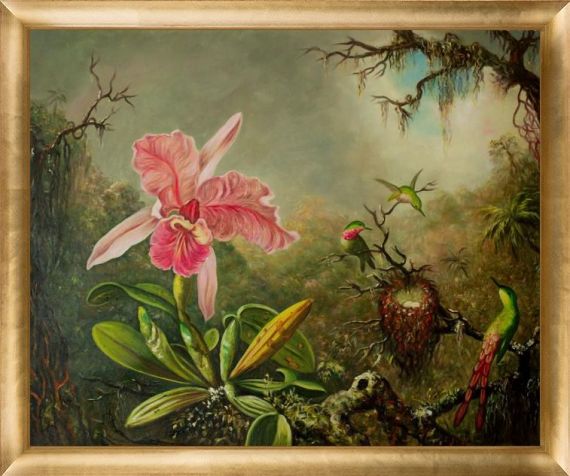 Cattleya Orchid and Three Hummingbirds, 1871 Reproduction