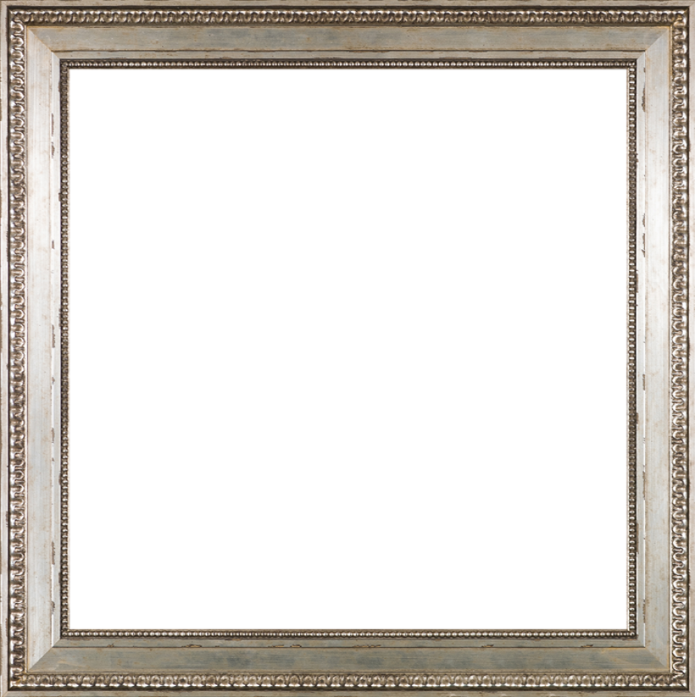 Versailles Silver King Frame 24 - Canvas Art & Reproduction Oil Paintings