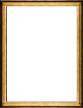 30x40 Majestic Gold Frame Frame at