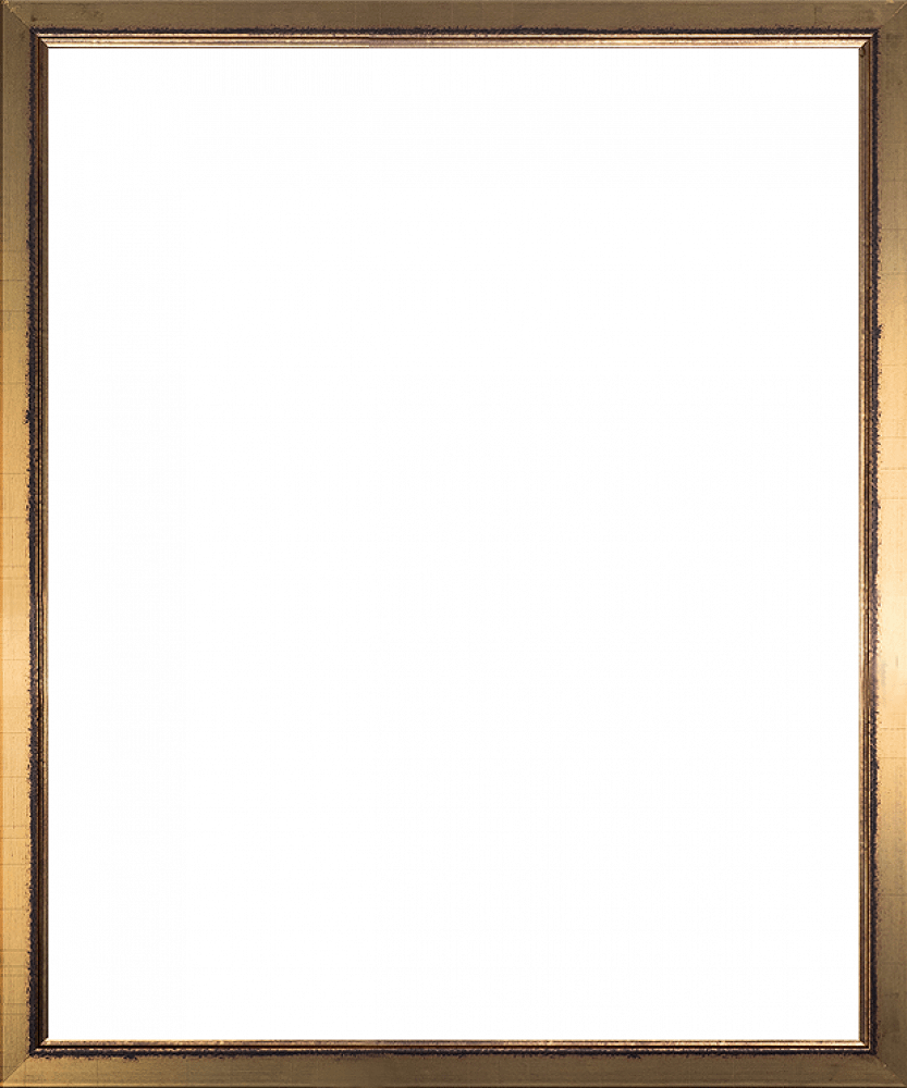 4x6 gold picture frames bulk