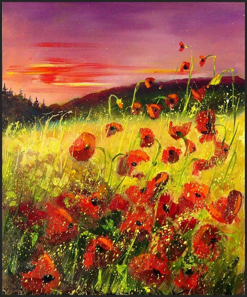 Poppies in sunset