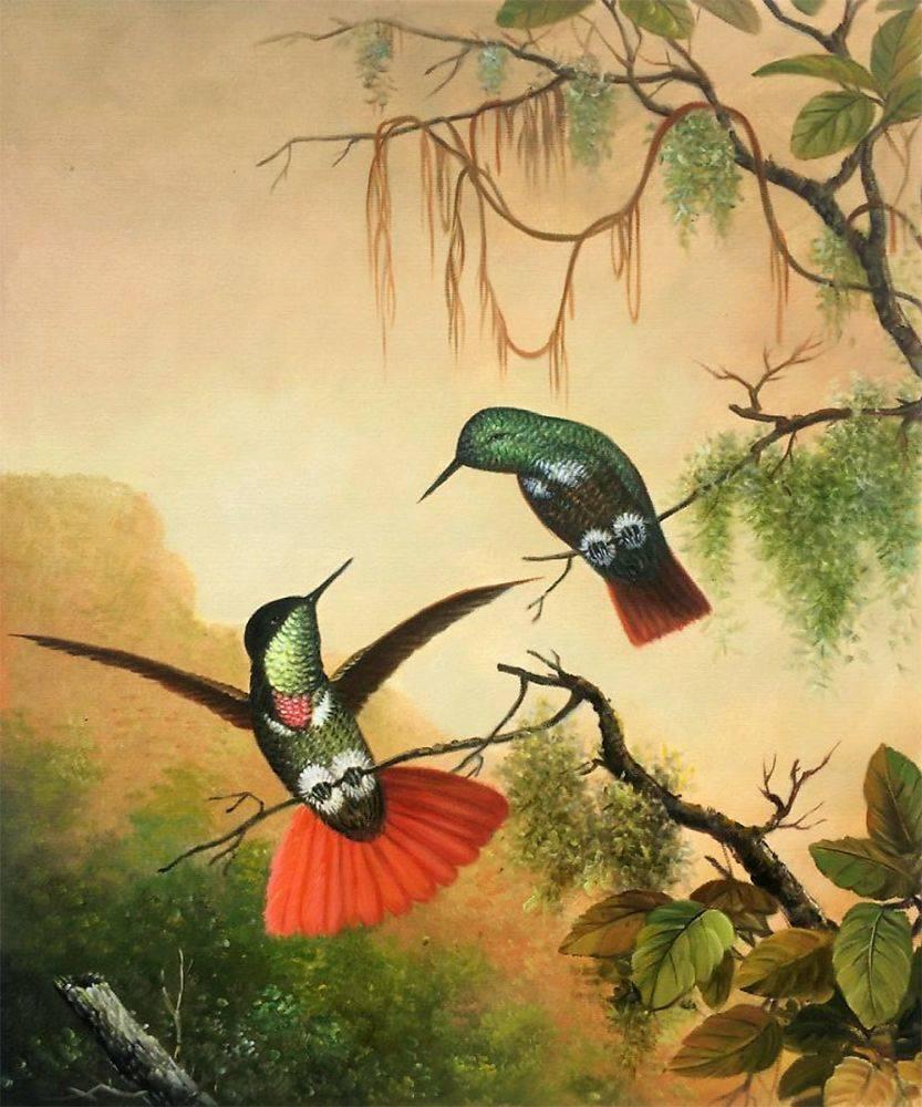 Two Hooded Visorbearer Hummingbirds