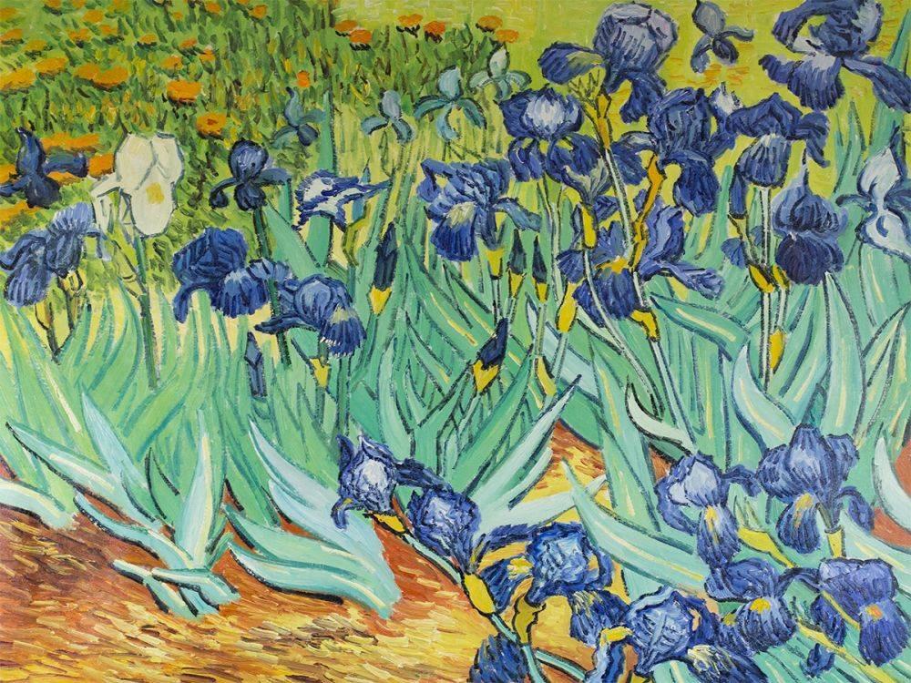 Van Gogh - Irises - 40x30 Oil Painting Reproduction