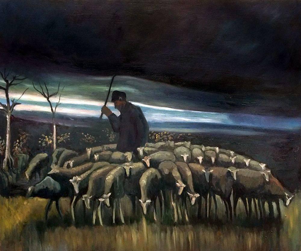 shepherds flocks